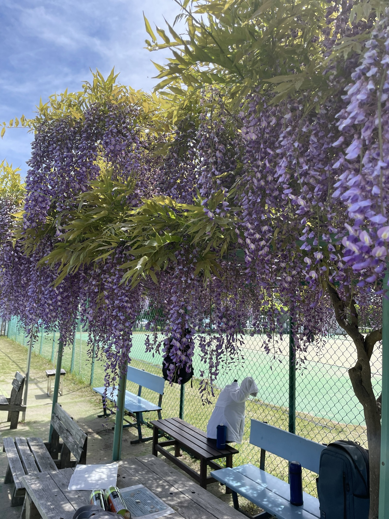 野庭中央公園、野庭団地スポーツ広場の詳細を追加しました。